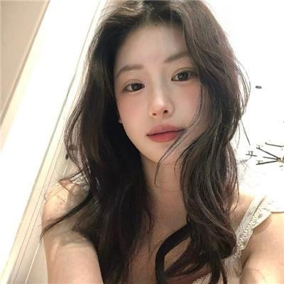 豺狼的日子2024封面