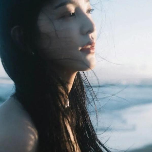 分贝人生封面