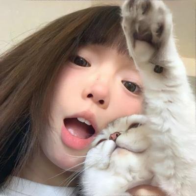 古惑万能车封面