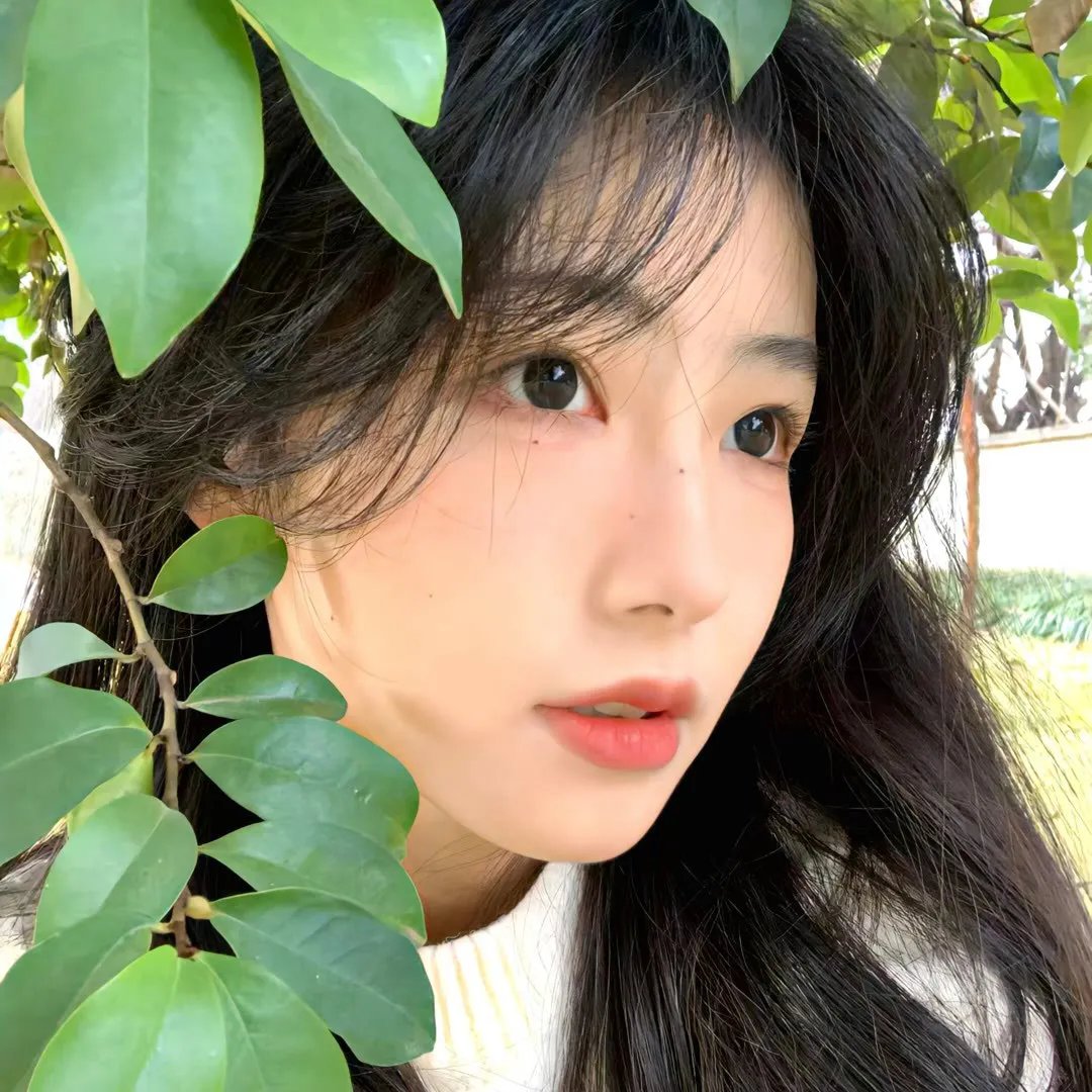 将军夫人为何那样封面